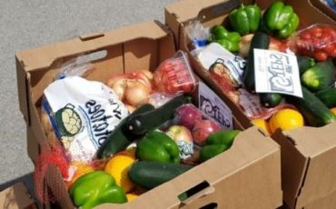 116057550_3439807236032306_931749644067808277_n